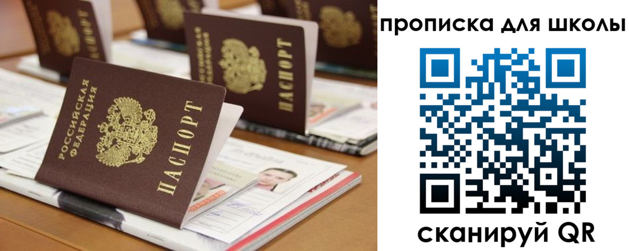 временная регистрация надежно в Шали